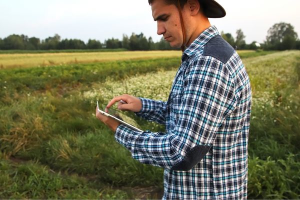 Gönen’de Buğday Üretiminde Dijital Tarım Yönetimi